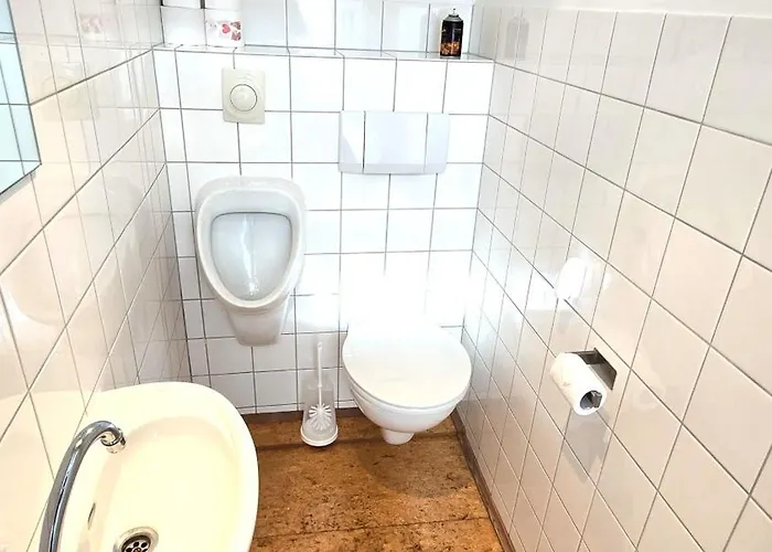 Grosszuegige Altbauwohnung Mitten In Der Meschede